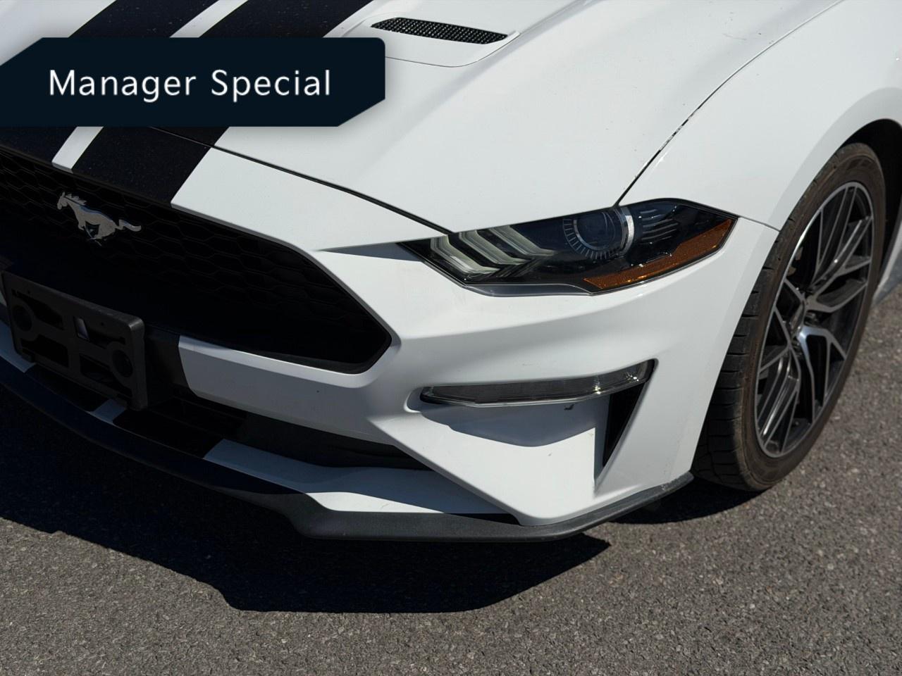 2022 Ford Mustang EcoBoost Premium Convertible Photo
