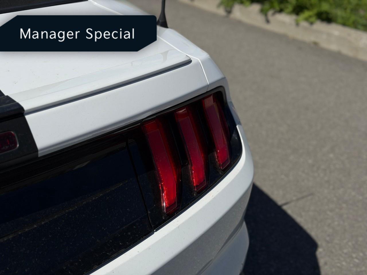 2022 Ford Mustang EcoBoost Premium Convertible Photo