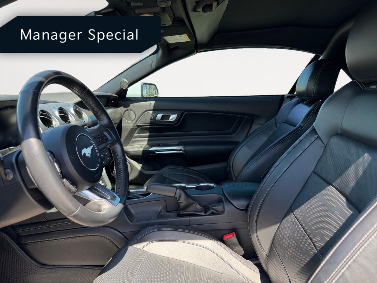 2022 Ford Mustang EcoBoost Premium Convertible Photo
