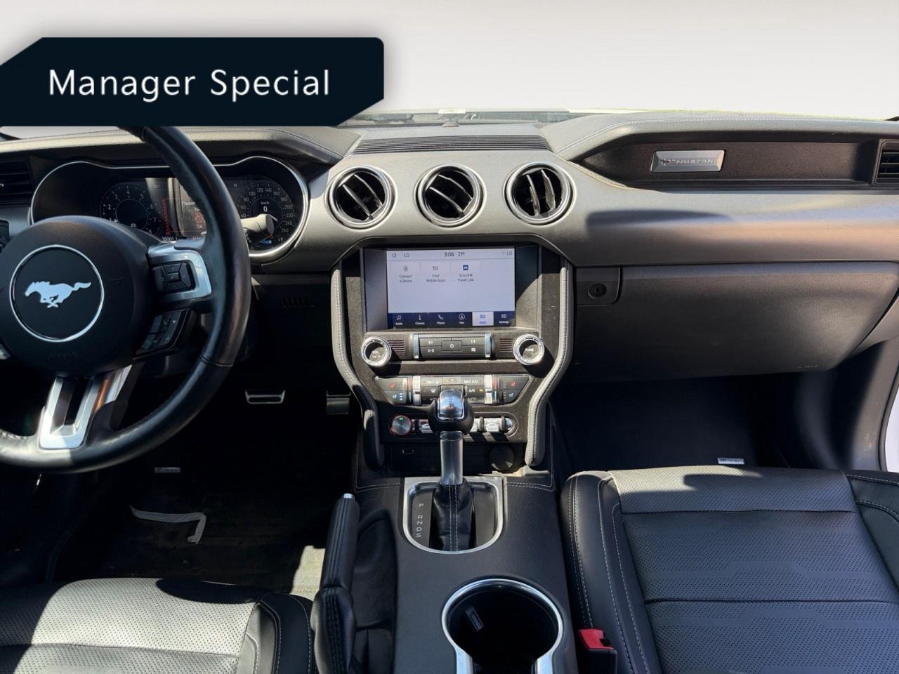 2022 Ford Mustang EcoBoost Premium Convertible Photo