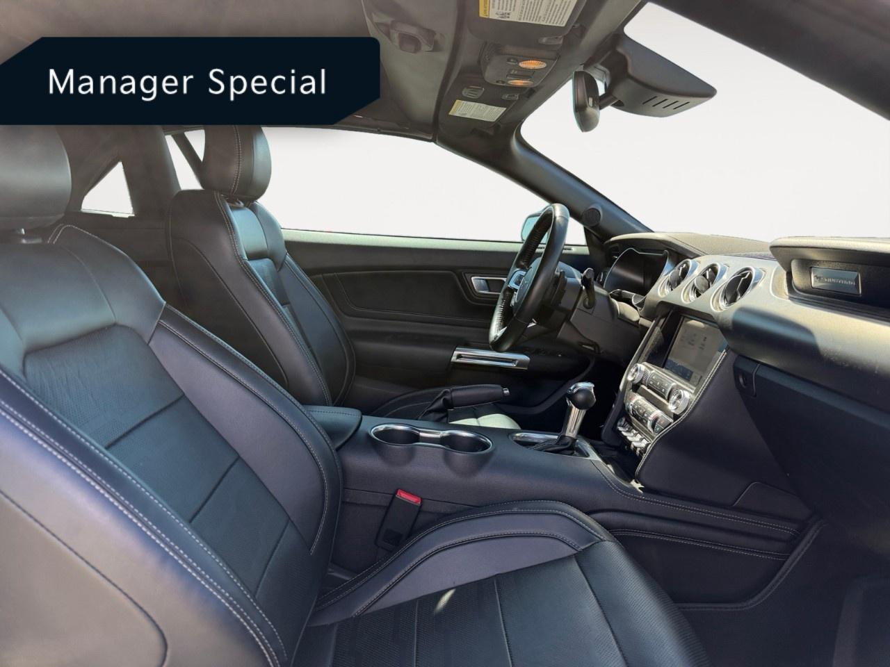 2022 Ford Mustang EcoBoost Premium Convertible Photo