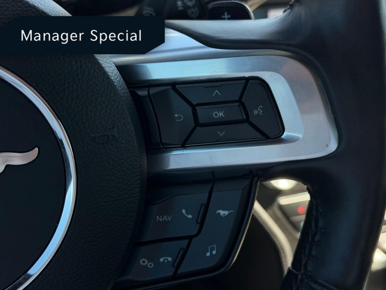 2022 Ford Mustang EcoBoost Premium Convertible Photo