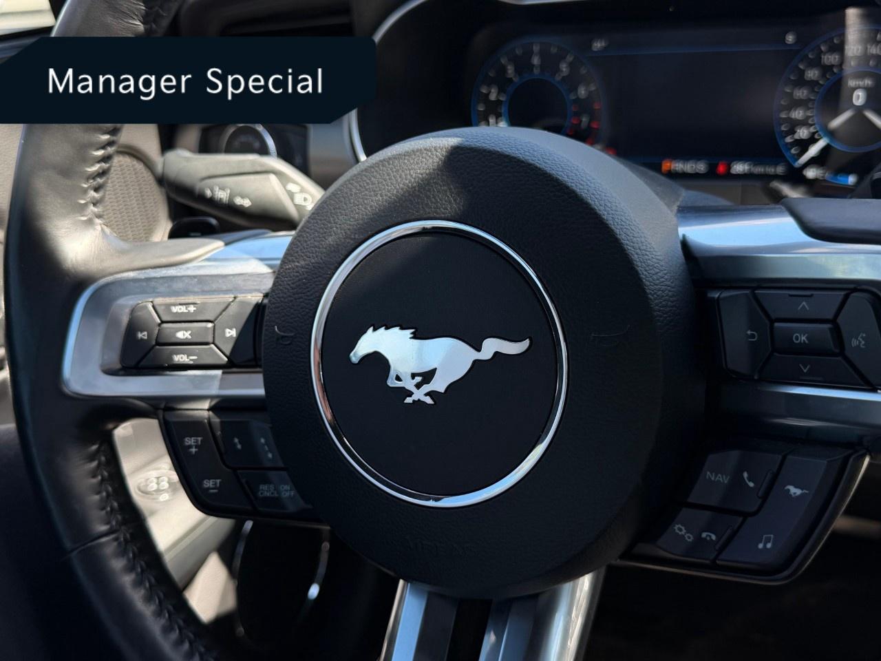 2022 Ford Mustang EcoBoost Premium Convertible Photo
