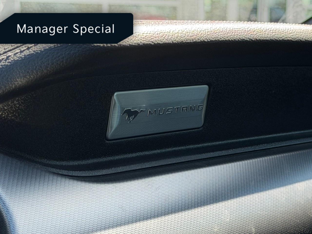 2022 Ford Mustang EcoBoost Premium Convertible Photo