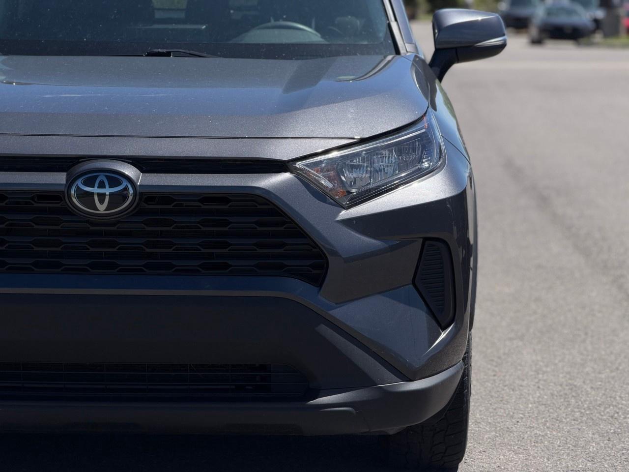 2020 Toyota RAV4 LE AWD Photo
