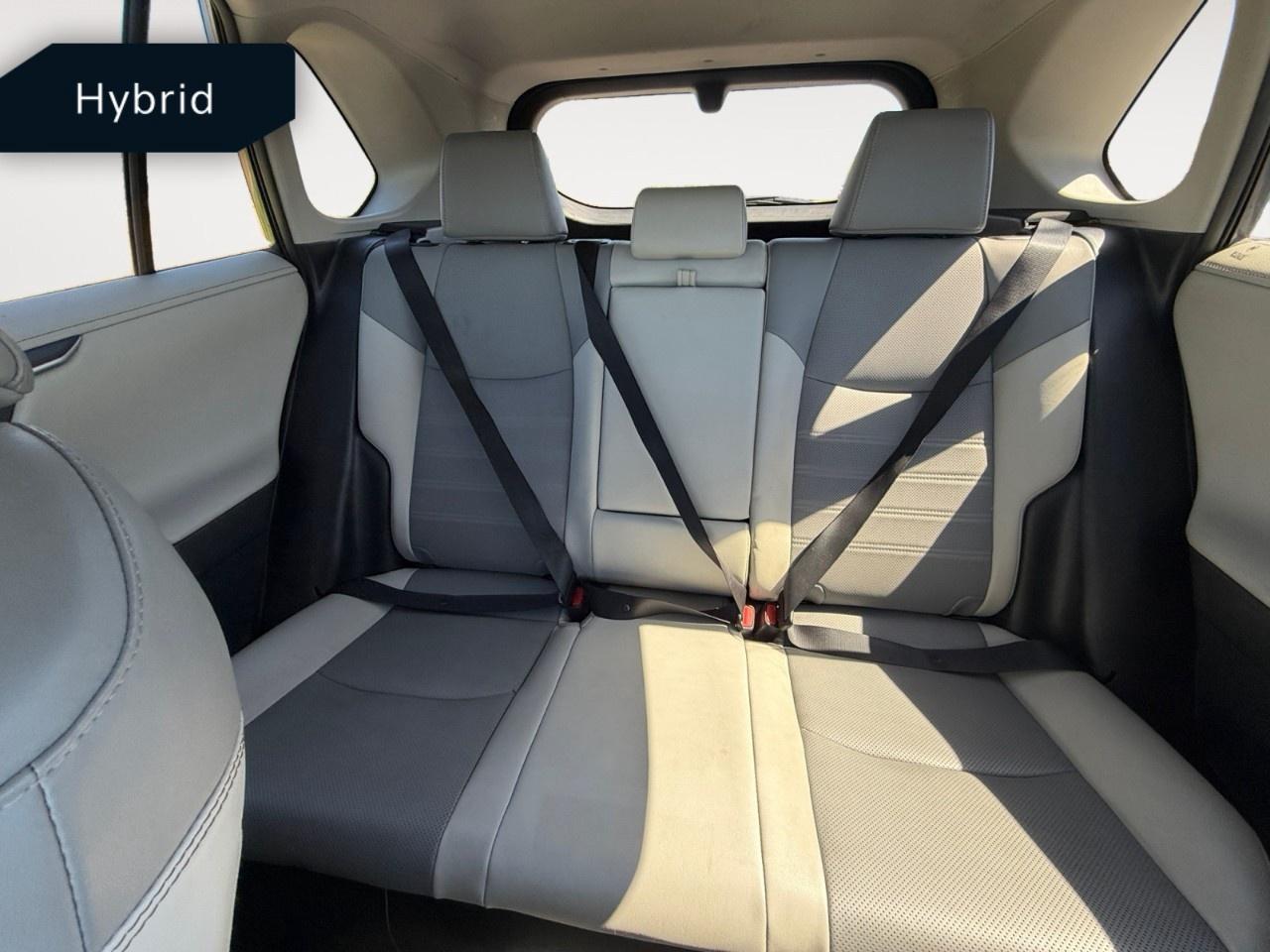 2019 Toyota RAV4 AWD Hybrid Limited Photo