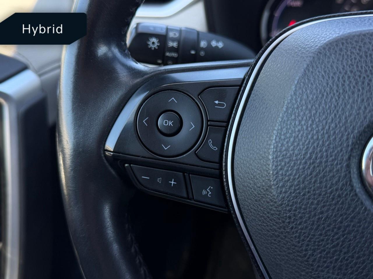 2019 Toyota RAV4 AWD Hybrid Limited Photo