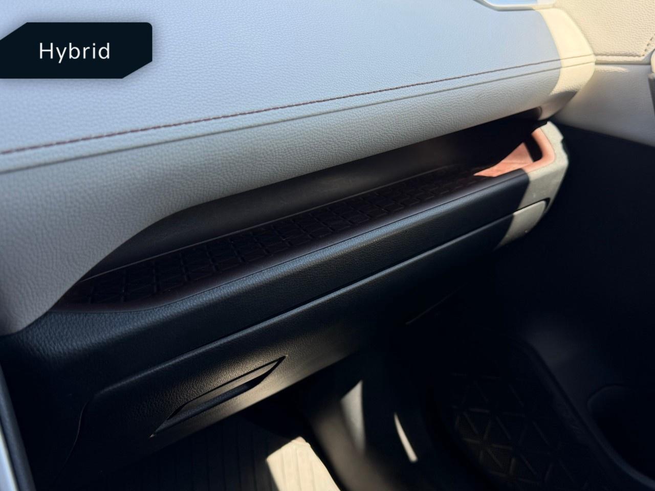 2019 Toyota RAV4 AWD Hybrid Limited Photo