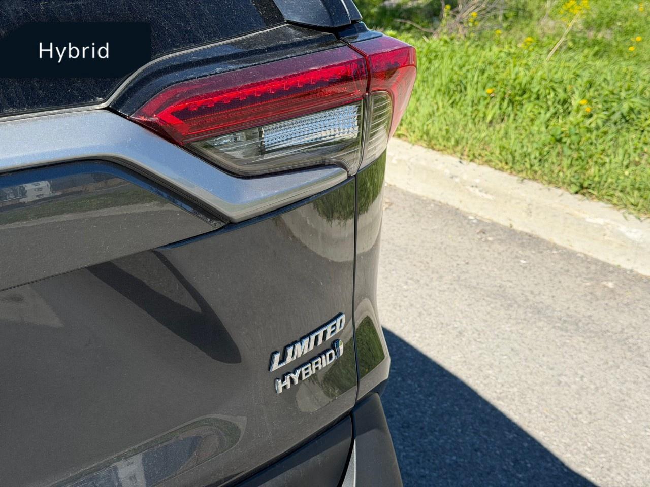 2019 Toyota RAV4 AWD Hybrid Limited Photo