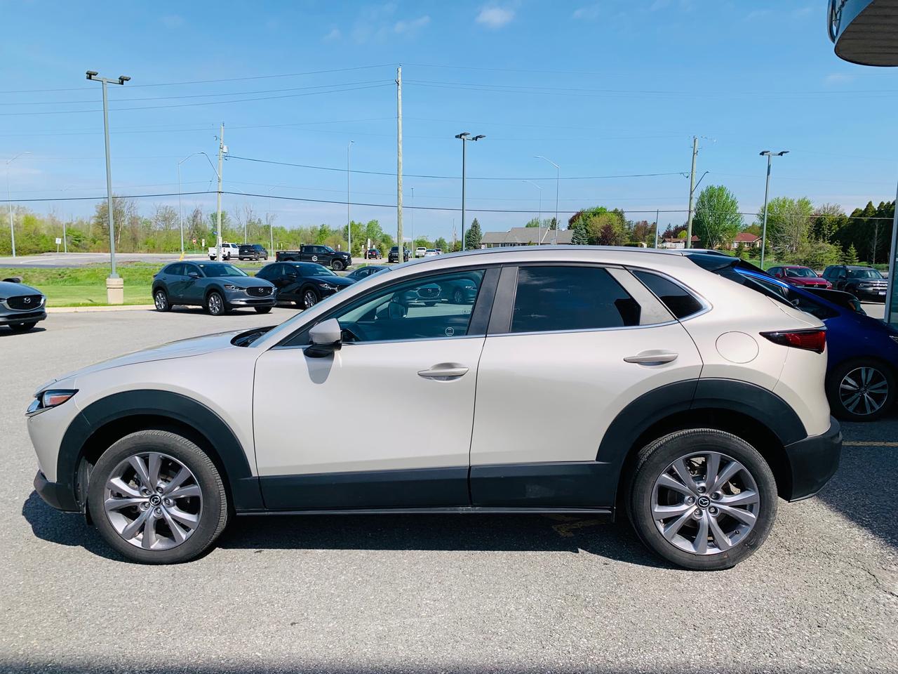 2023 Mazda CX-30 GS 4dr i-ACTIV All-Wheel Drive Sport Utility Photo