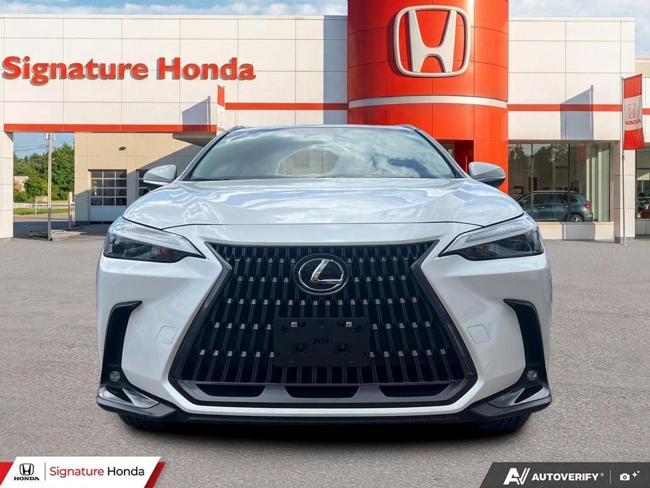 2025 Lexus NX NX 350 Photo