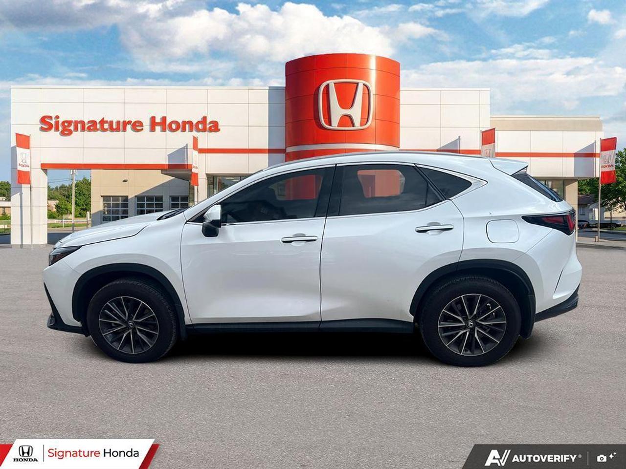2025 Lexus NX NX 350 Photo