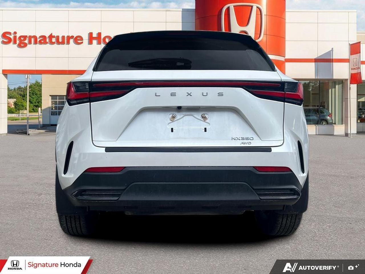 2025 Lexus NX NX 350 Photo4