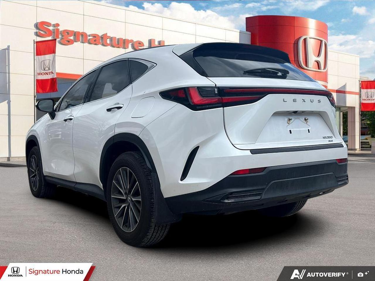 2025 Lexus NX NX 350 Photo