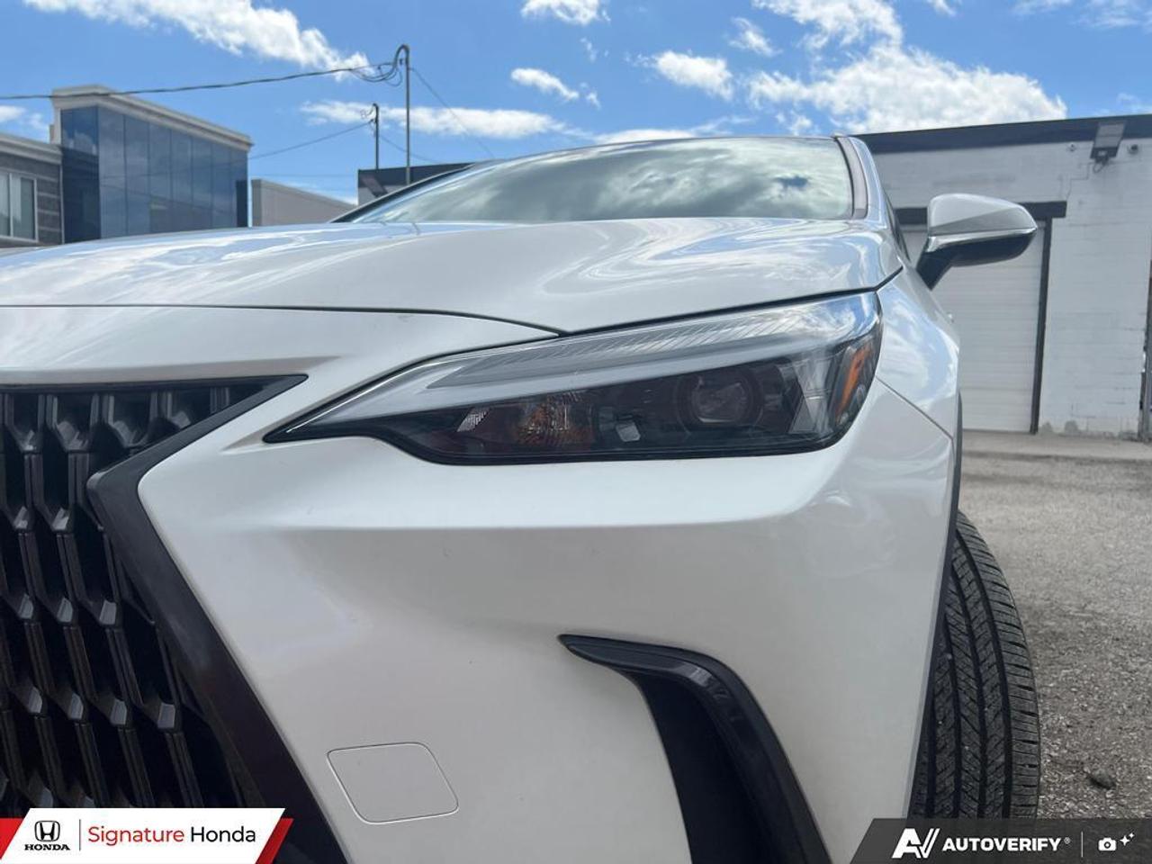 2025 Lexus NX NX 350 Photo