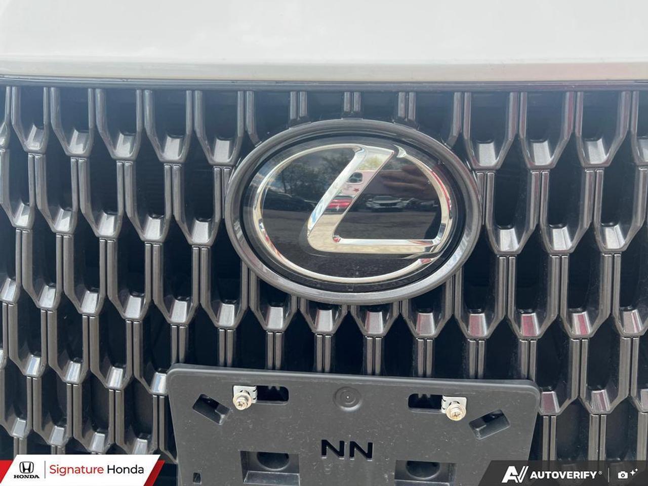 2025 Lexus NX NX 350 Photo