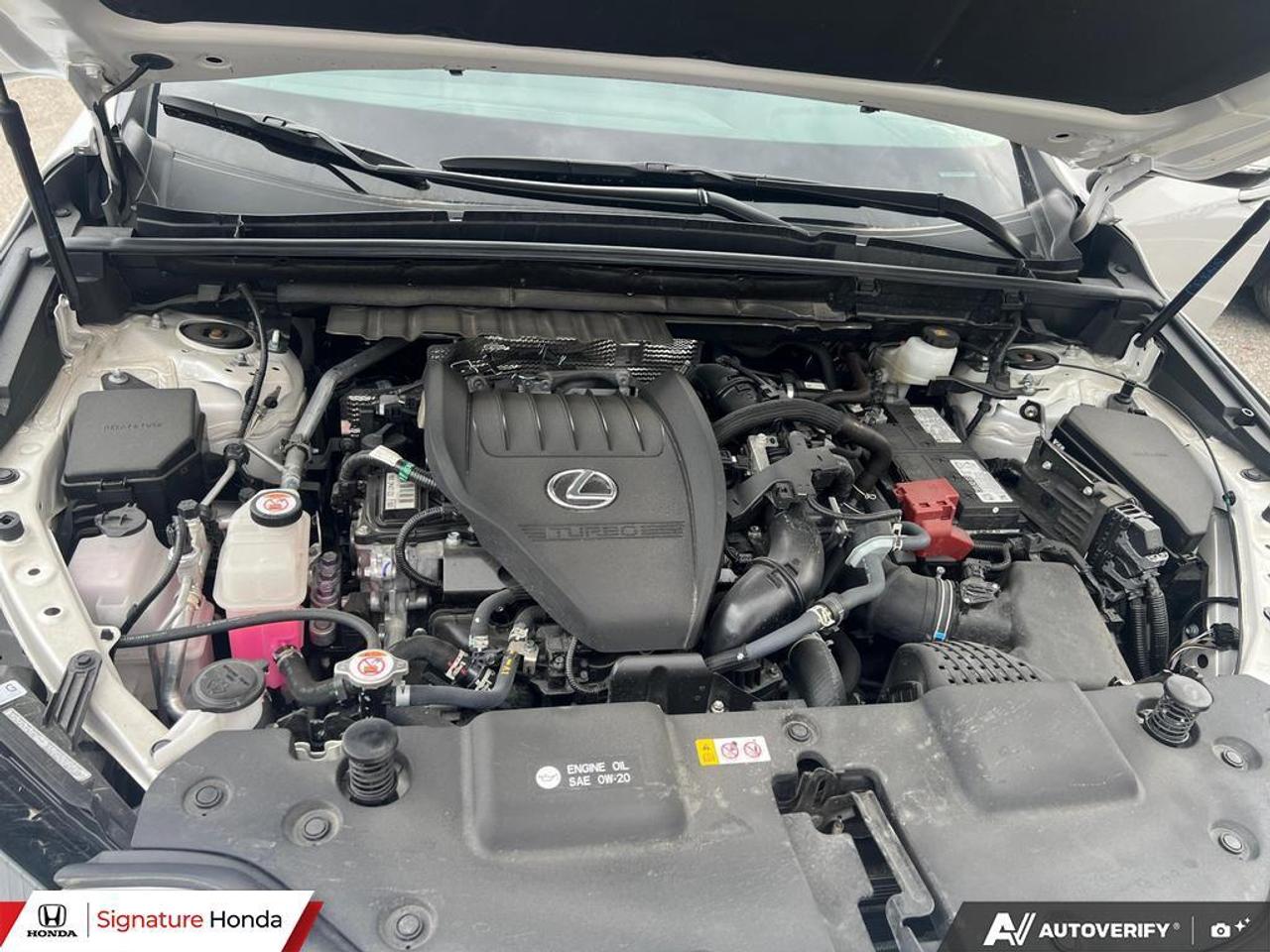 2025 Lexus NX NX 350 Photo