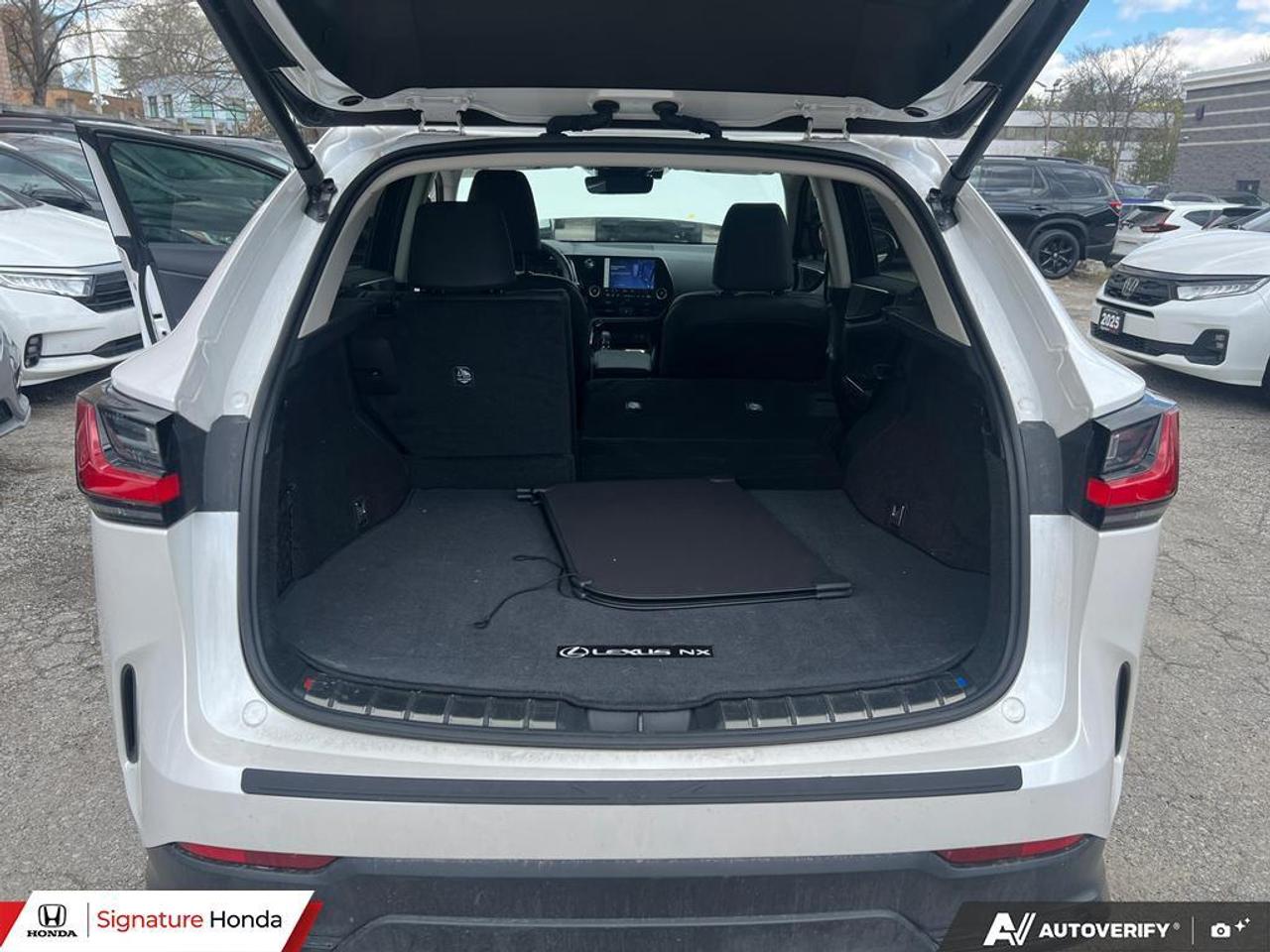 2025 Lexus NX NX 350 Photo