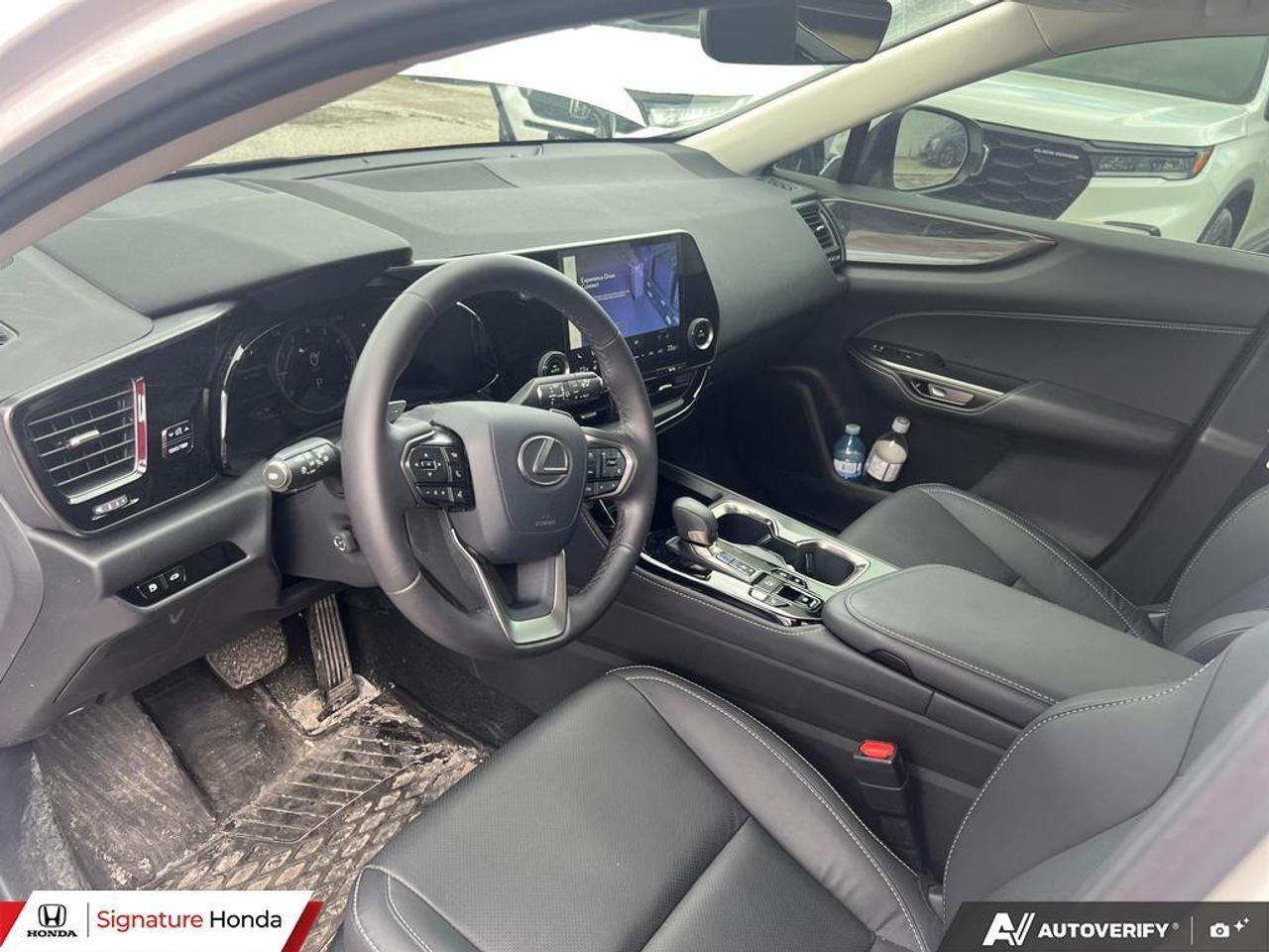 2025 Lexus NX NX 350 Photo