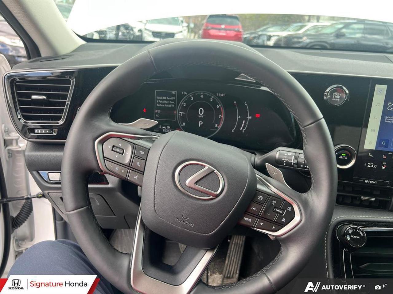 2025 Lexus NX NX 350 Photo