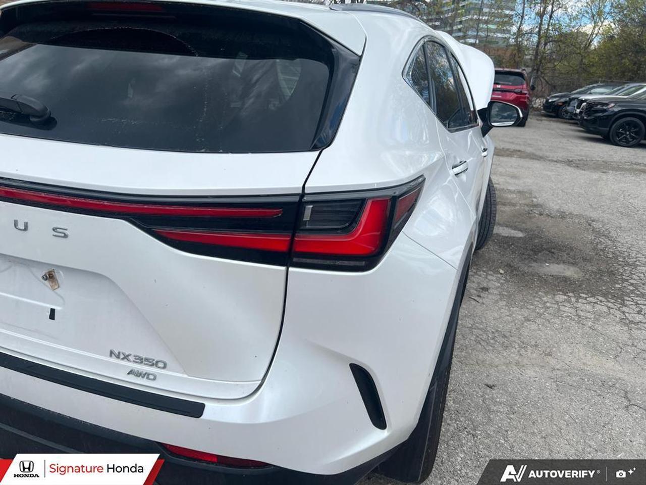 2025 Lexus NX NX 350 Photo