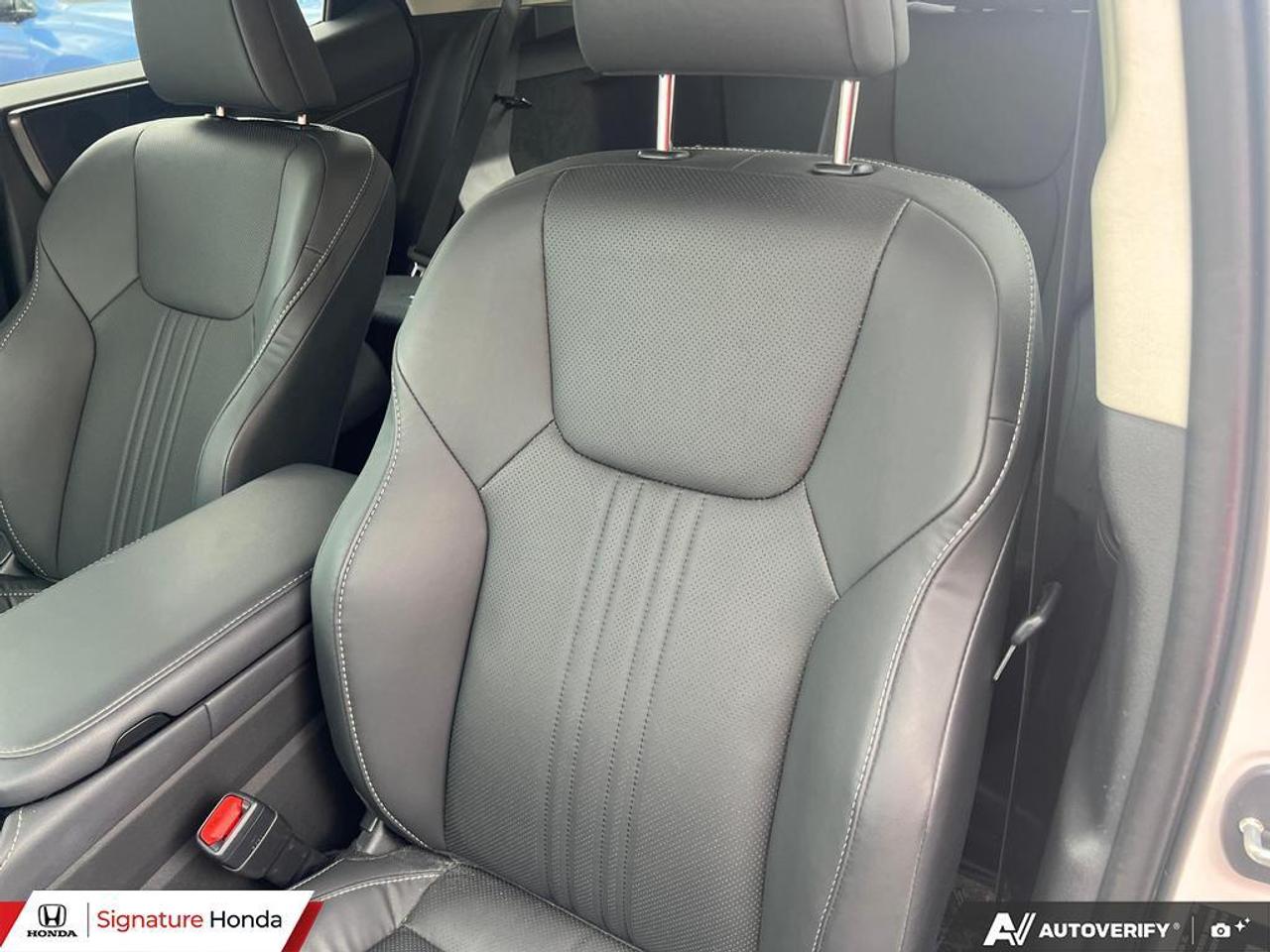 2025 Lexus NX NX 350 Photo