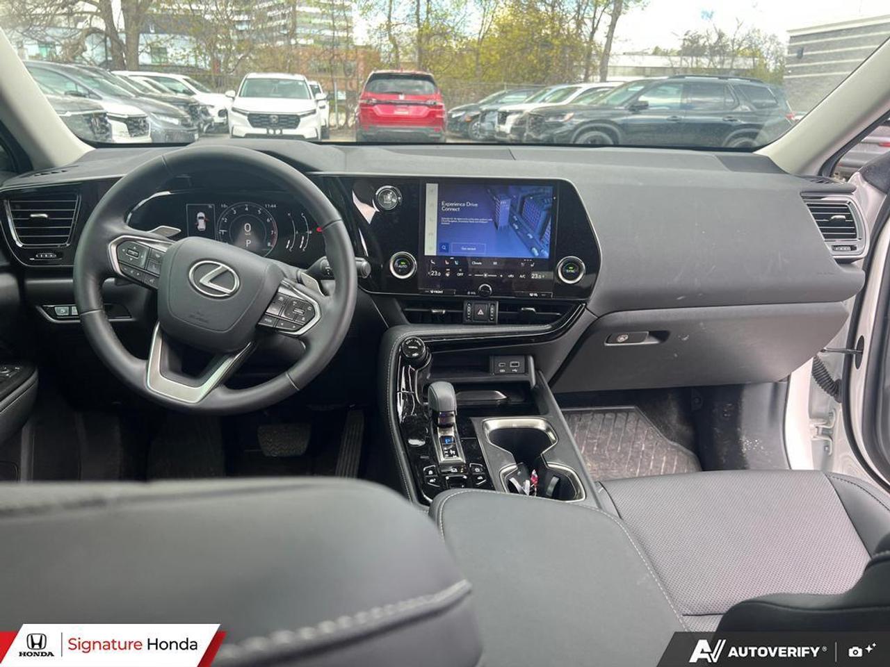 2025 Lexus NX NX 350 Photo