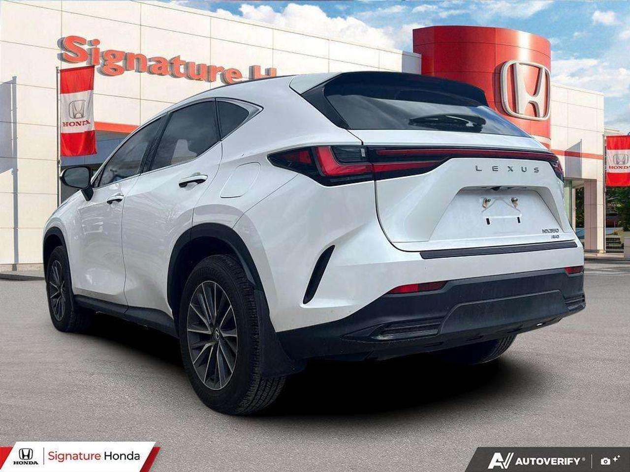 2025 Lexus NX NX 350 Photo