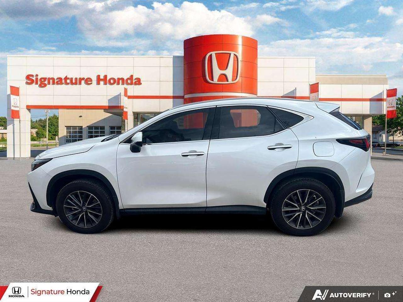2025 Lexus NX NX 350 Photo