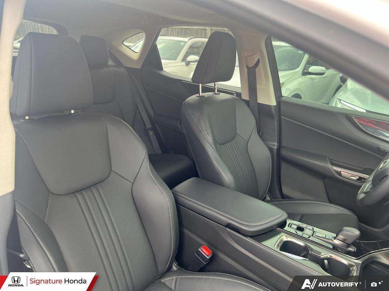 2025 Lexus NX NX 350 Photo