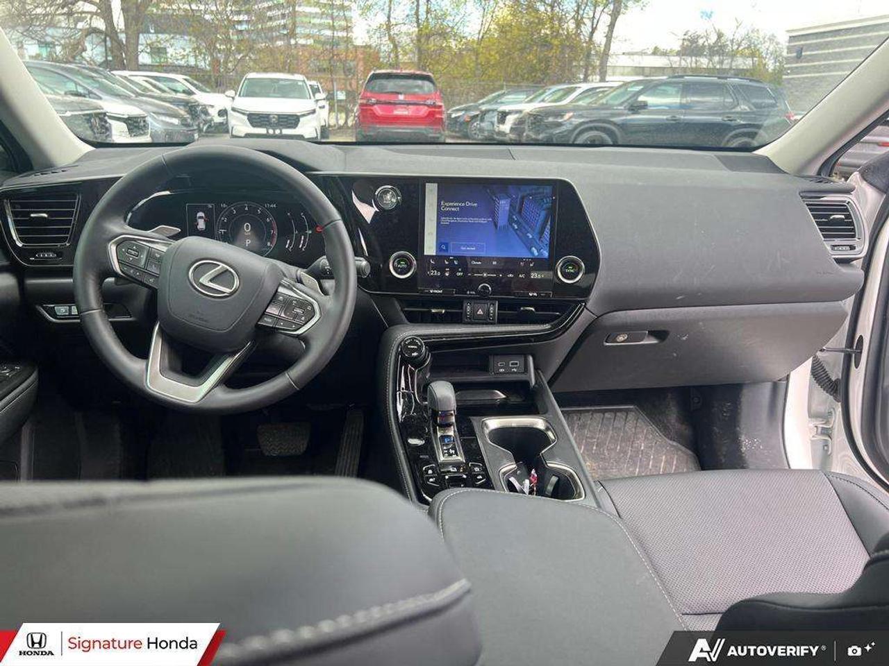2025 Lexus NX NX 350 Photo