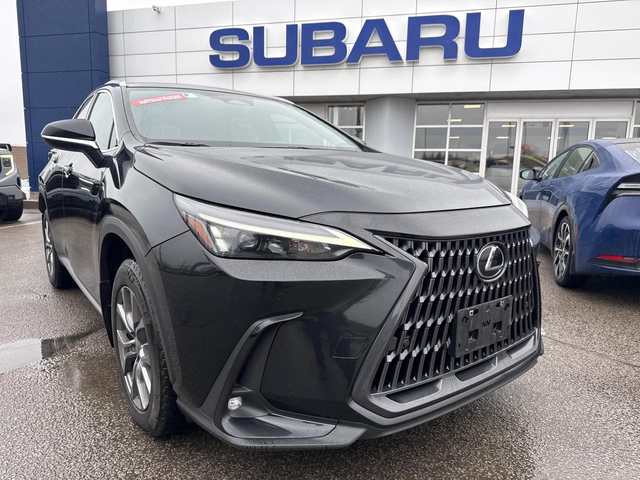 2023 Lexus NX 350 Base 4dr All-Wheel Drive Photo