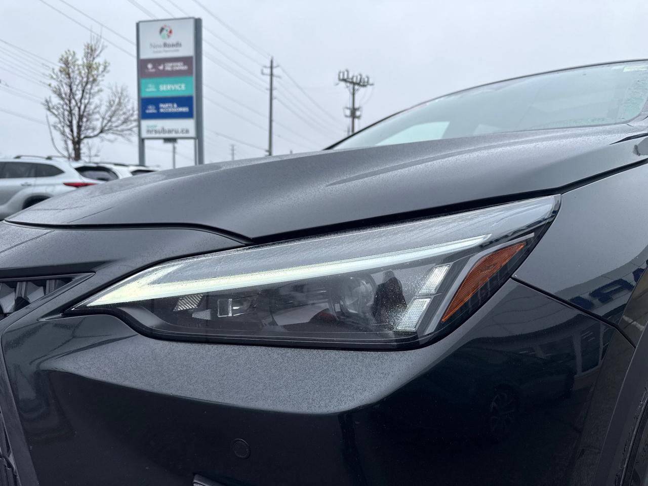 2023 Lexus NX 350 Base 4dr All-Wheel Drive Photo