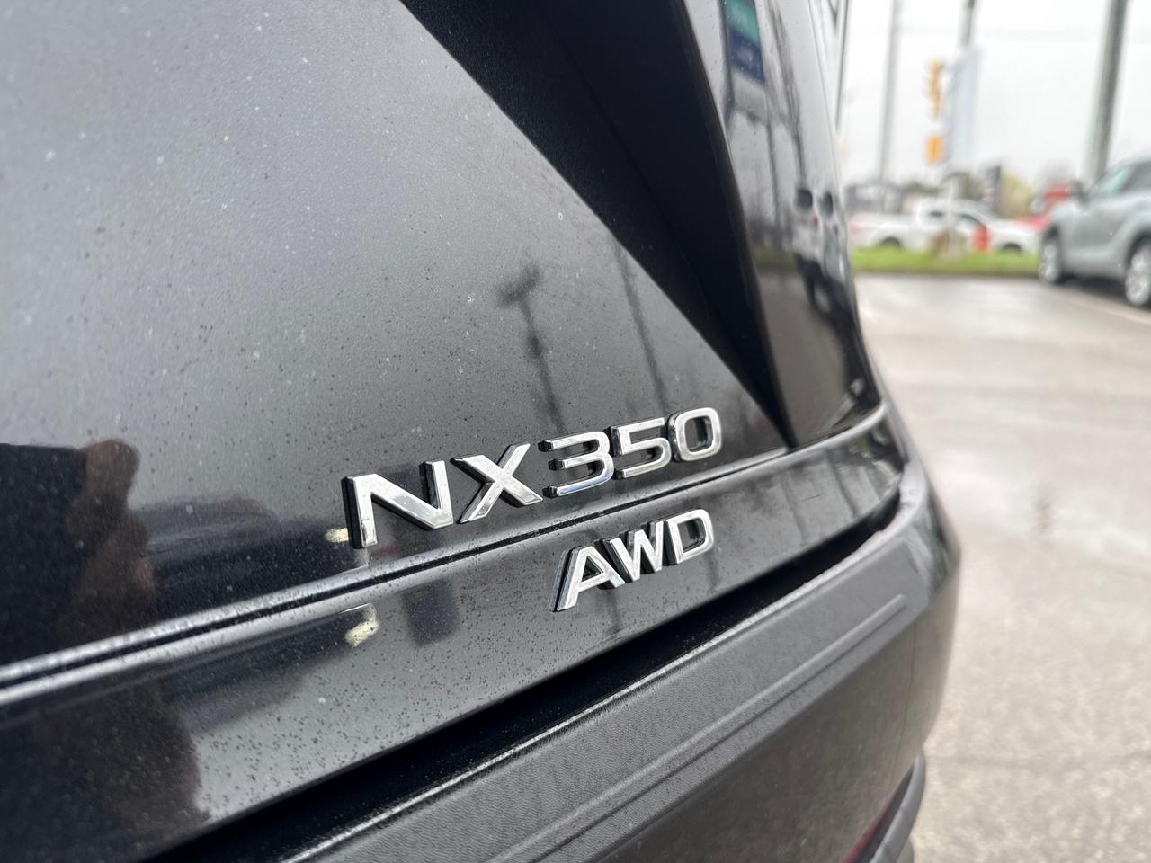 2023 Lexus NX 350 Base 4dr All-Wheel Drive Photo