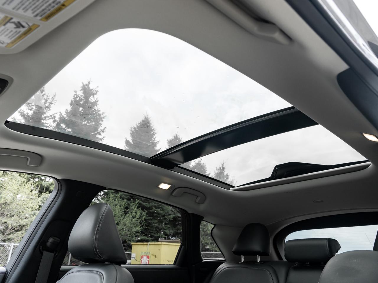 2019 Infiniti QX50 LUXE AWD, Nav, Camera Photo