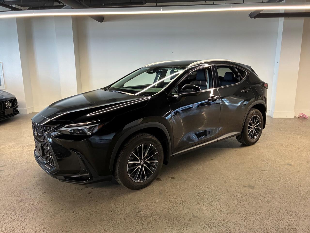 2025 Lexus NX 250 AWD Lexus Certified Welcome Trades Photo