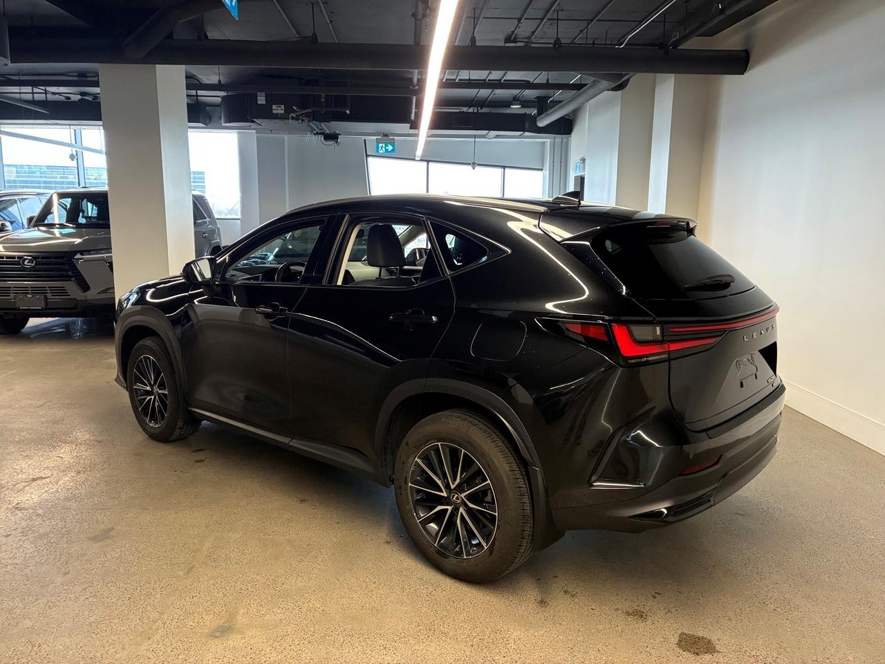 2025 Lexus NX 250 AWD Lexus Certified Welcome Trades Photo