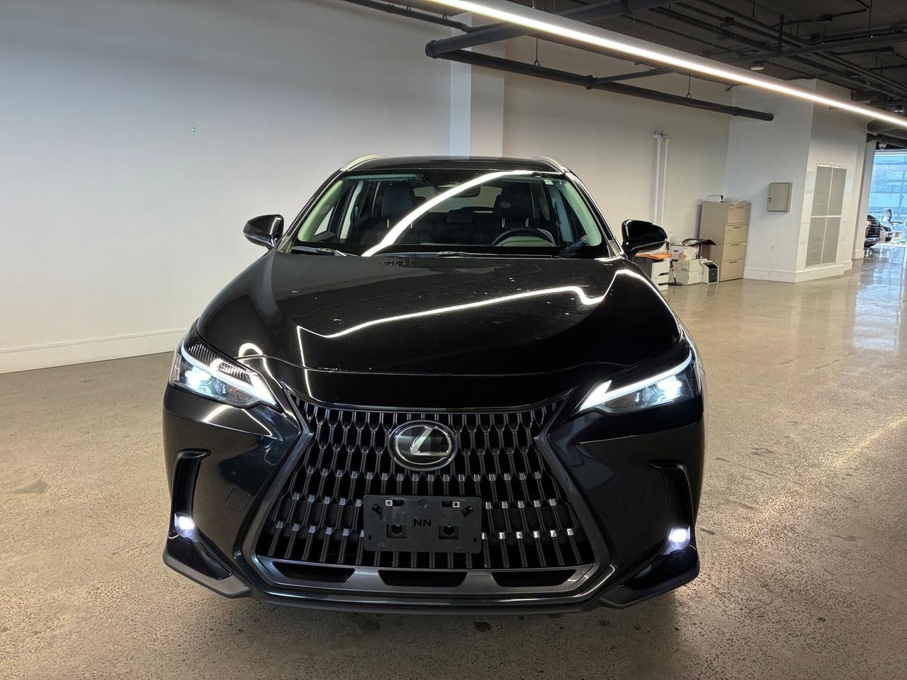 2025 Lexus NX 250 AWD Lexus Certified Welcome Trades Photo