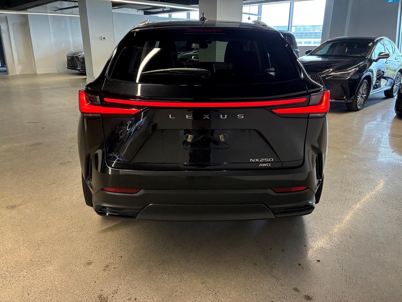 2025 Lexus NX 250 AWD Lexus Certified Welcome Trades Photo
