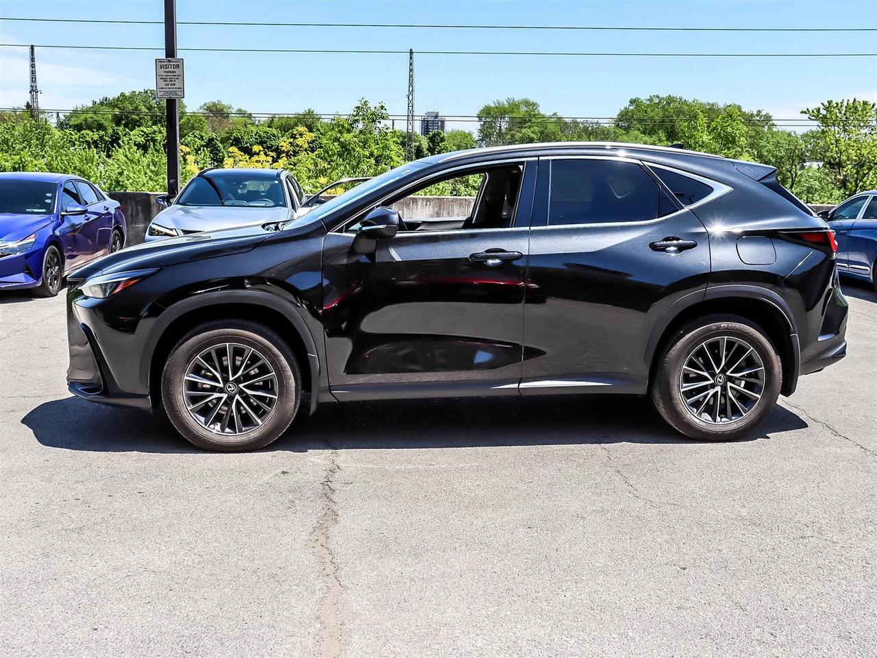 2025 Lexus NX 250 AWD Lexus Certified Welcome Trades Photo