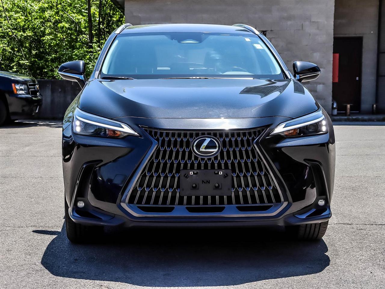 2025 Lexus NX 250 AWD Lexus Certified Welcome Trades Photo