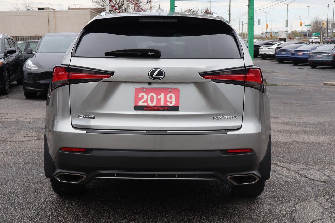 2019 Lexus NX 300 AWD   F-SPORT   NO ACCIDENT   RED INTERIOR Photo