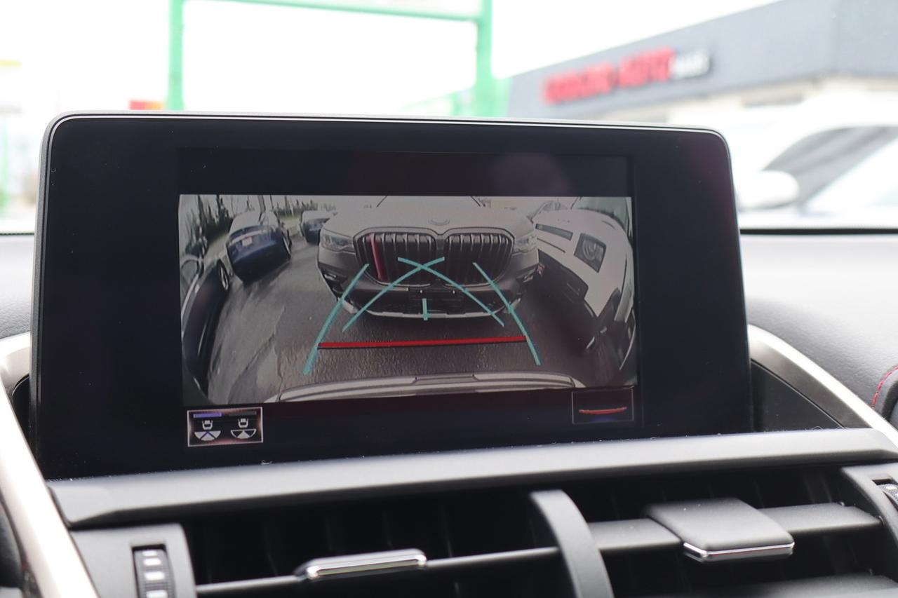 2019 Lexus NX 300 AWD   F-SPORT   NO ACCIDENT   RED INTERIOR Photo
