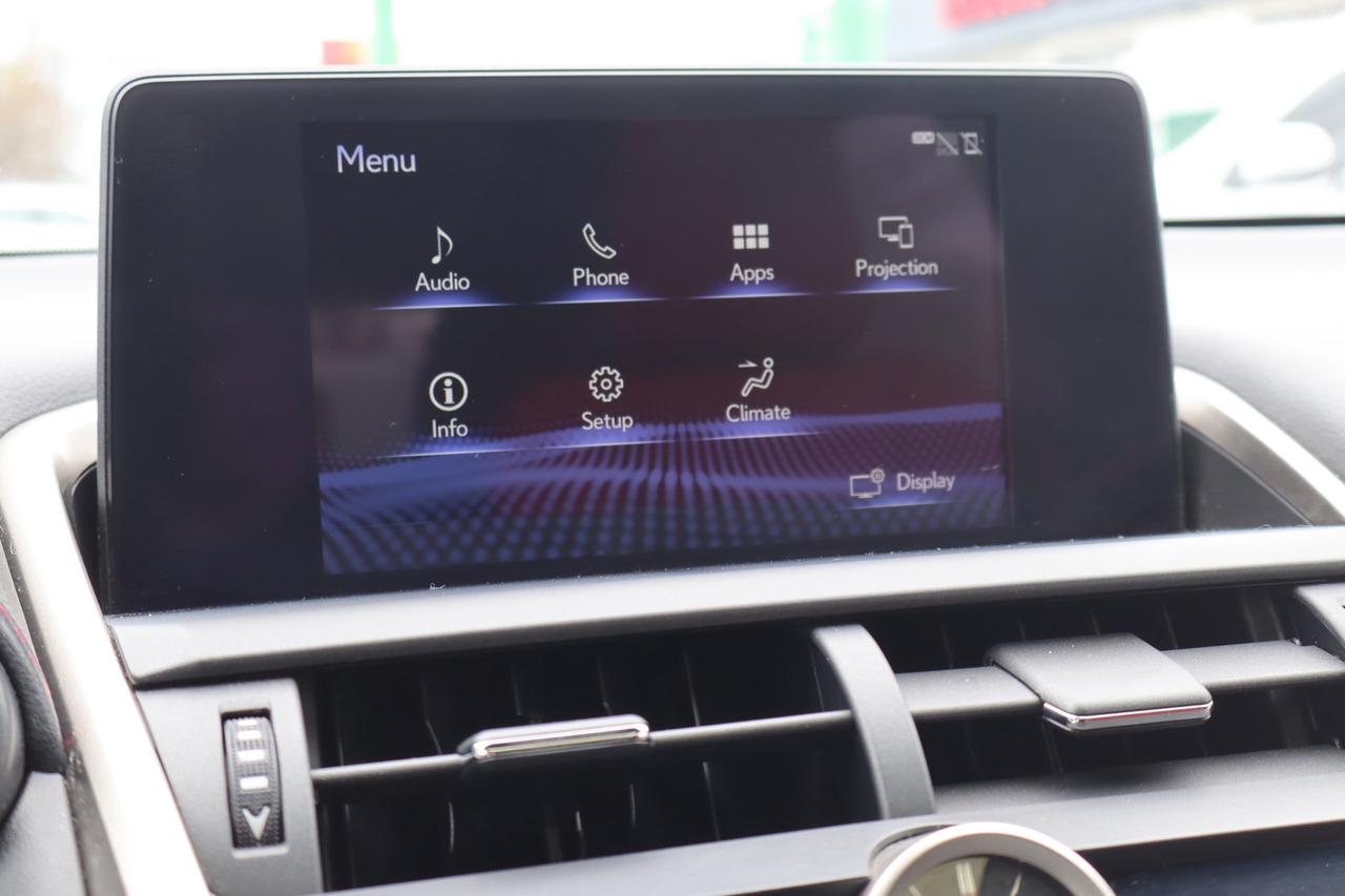 2019 Lexus NX 300 AWD   F-SPORT   NO ACCIDENT   RED INTERIOR Photo