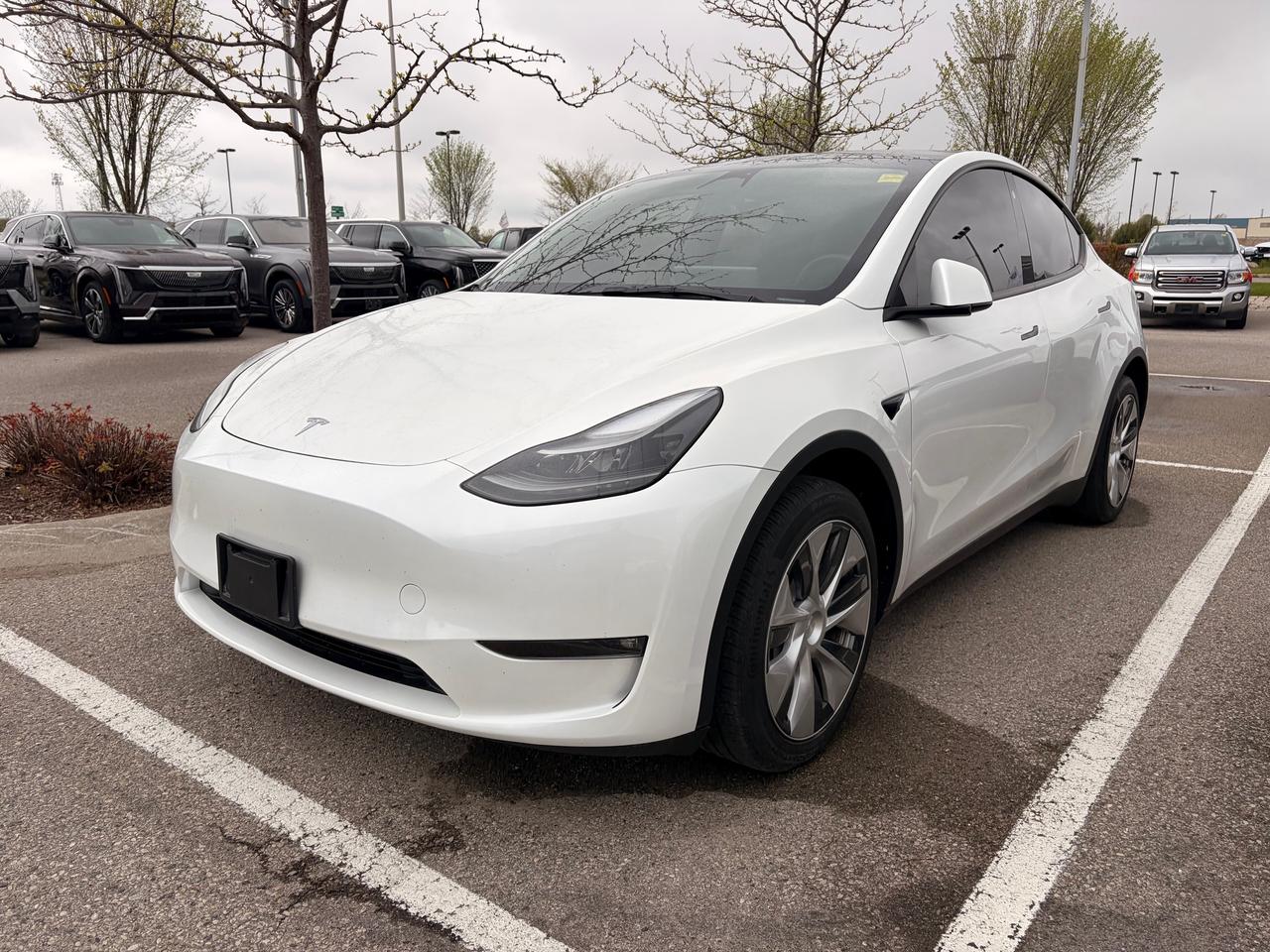2023 Tesla Model Y Long Range 4dr All-Wheel Drive Sport Utility Photo