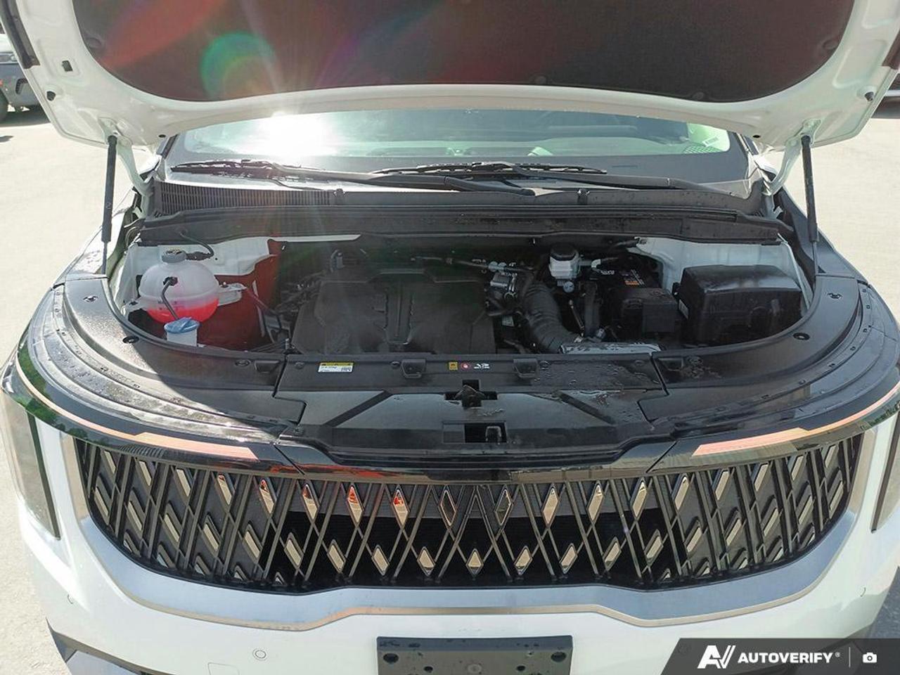 2025 Kia Carnival  Photo