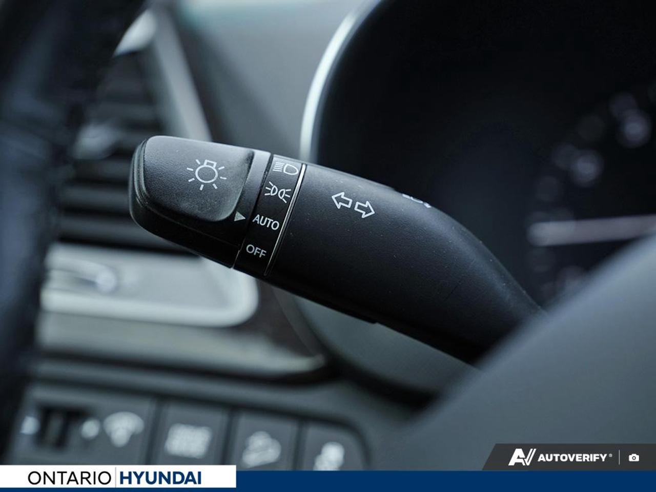 2019 Hyundai Santa Fe XL Luxury 7 Passenger (A6) 4dr All-Wheel Drive Photo