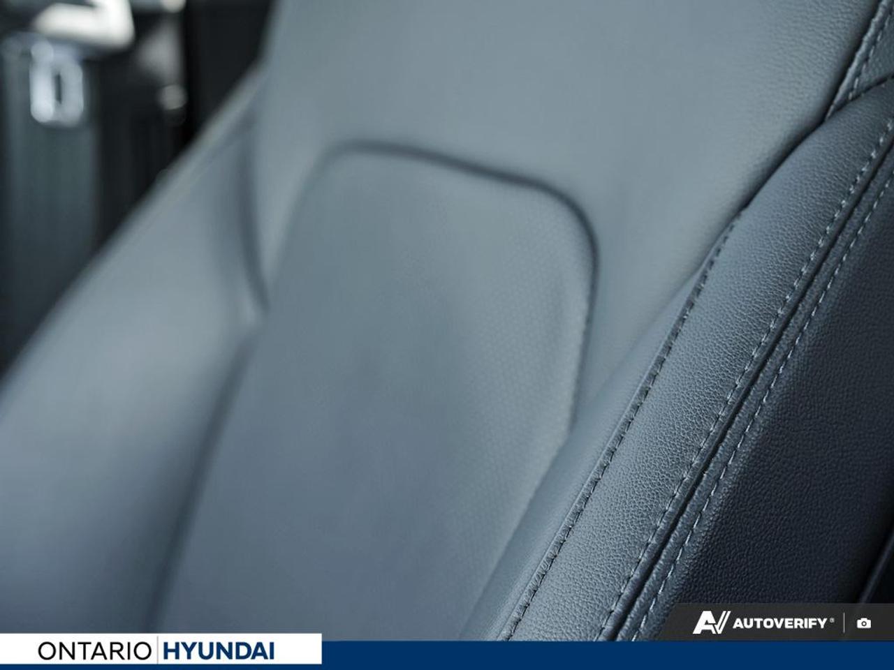 2019 Hyundai Santa Fe XL Luxury 7 Passenger (A6) 4dr All-Wheel Drive Photo