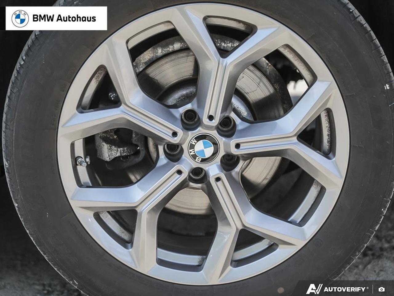2023 BMW X3 xDrive30i Sports Activity Vehicle Photo