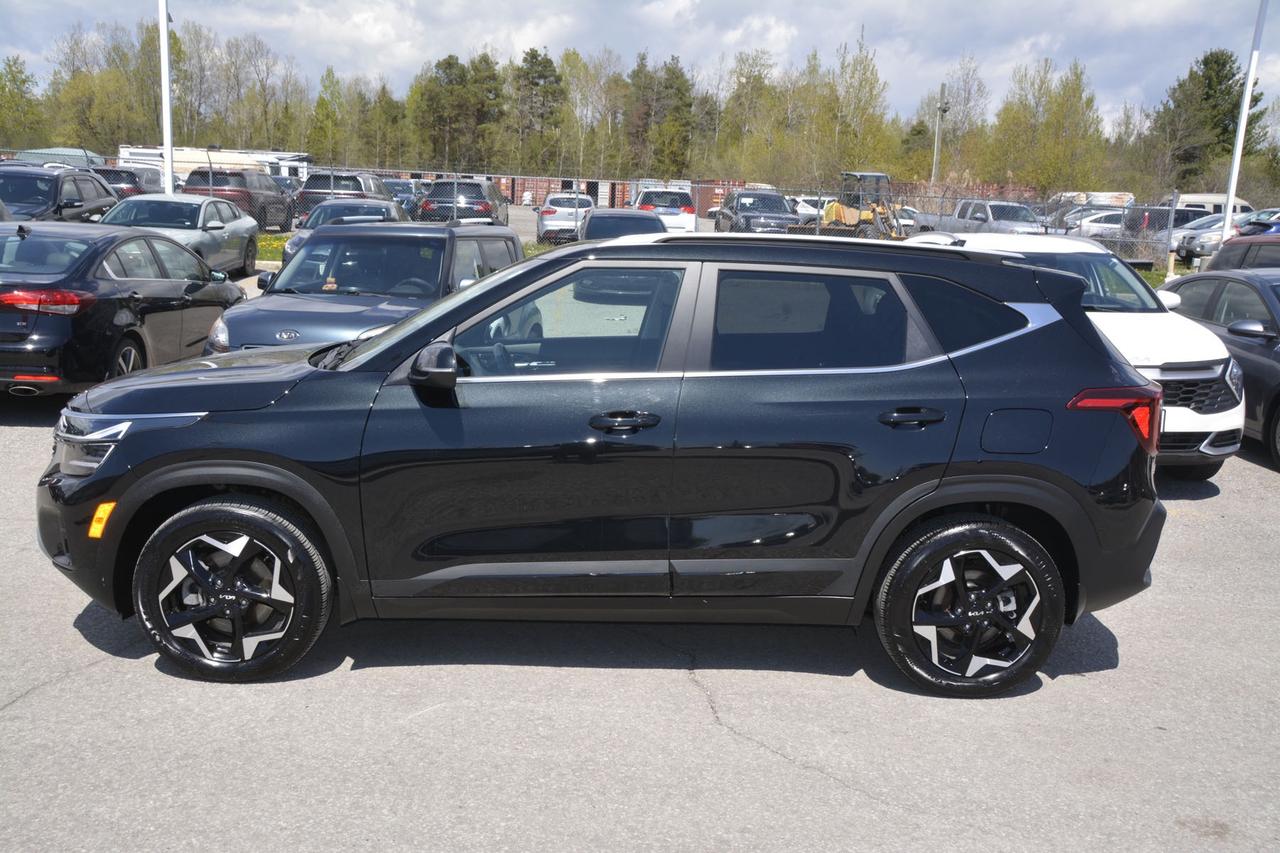 2024 Kia Seltos  Photo